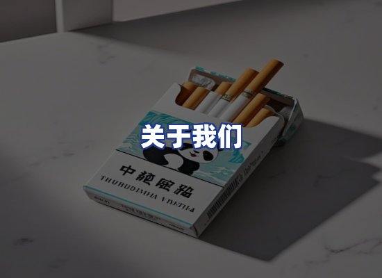 专业团队